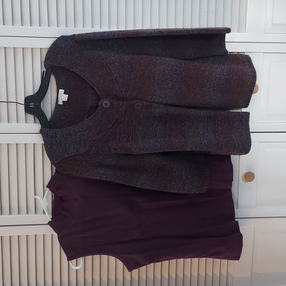 Christopher & Banks sweater (L) and sleeveless turtleneck (XL)